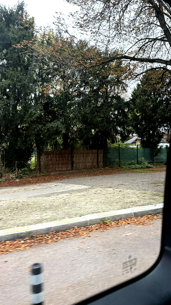 camilla_classy image ~ Altpins