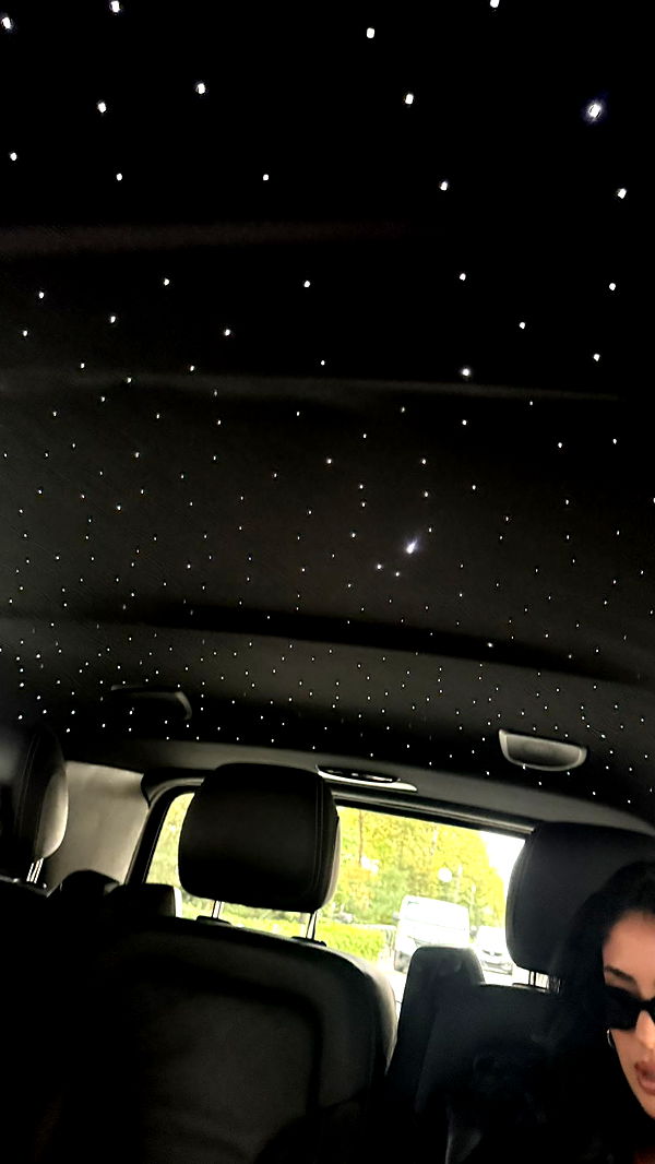 camilla_classy image ~ Altpins