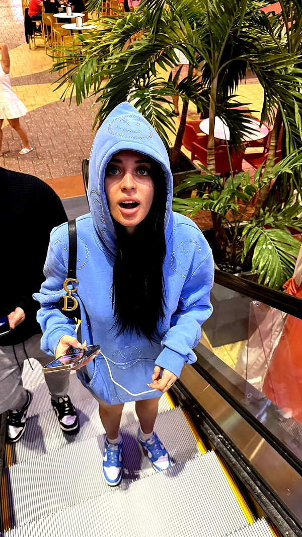 camilla_classy image ~ Altpins