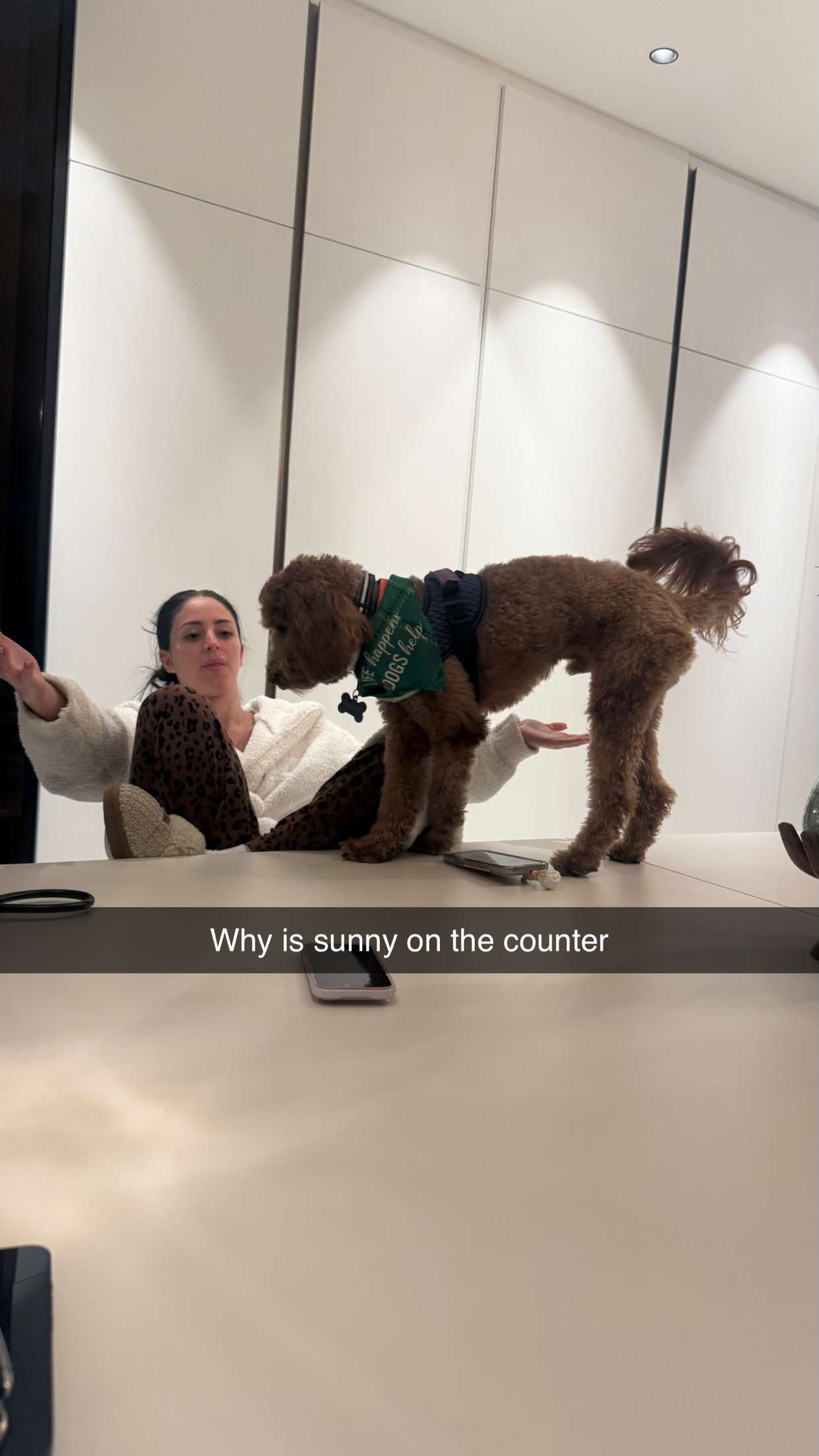 camilla_classy snapchat image archive image