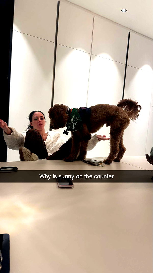 camilla_classy image ~ Altpins