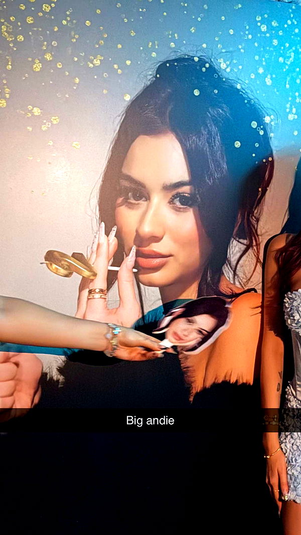 camilla_classy image ~ Altpins