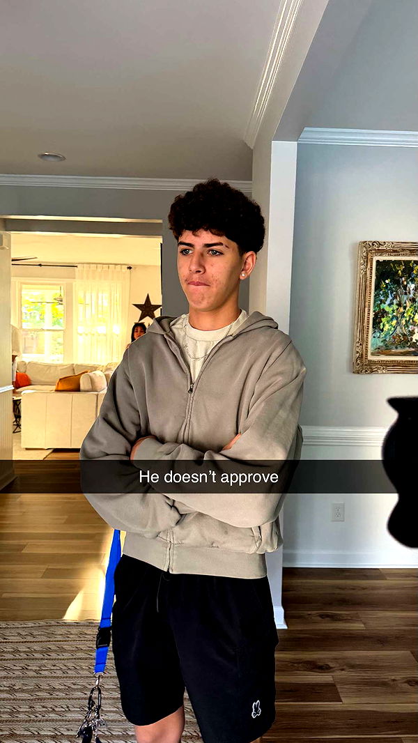 camilla_classy image ~ Altpins