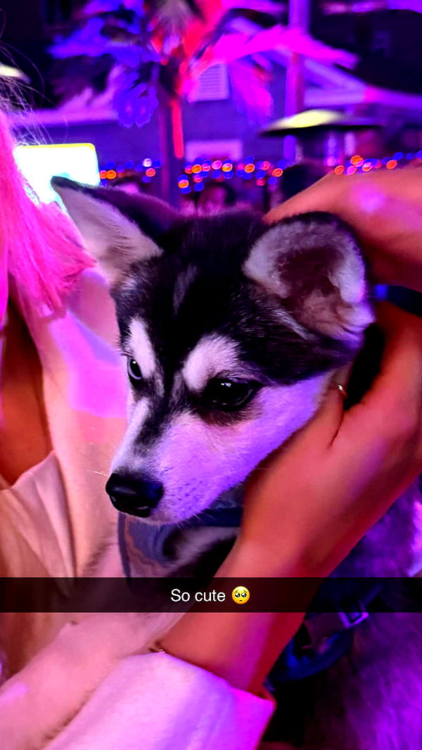 camilla_classy image ~ Altpins