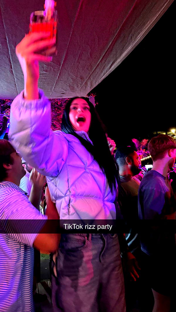 camilla_classy image ~ Altpins