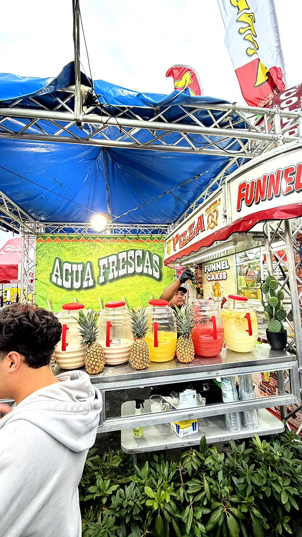 camilla_classy image ~ Altpins