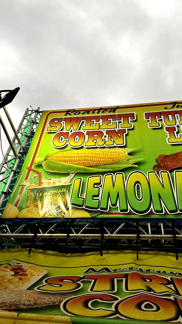 camilla_classy image ~ Altpins