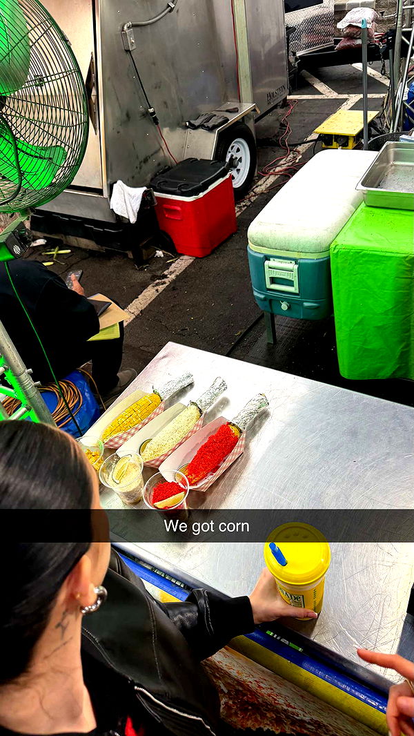 camilla_classy image ~ Altpins