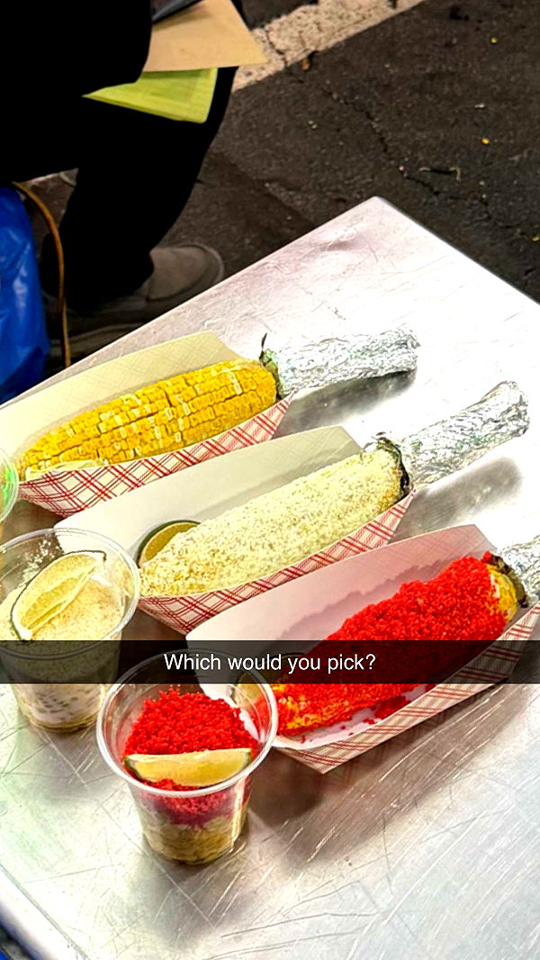 camilla_classy image ~ Altpins