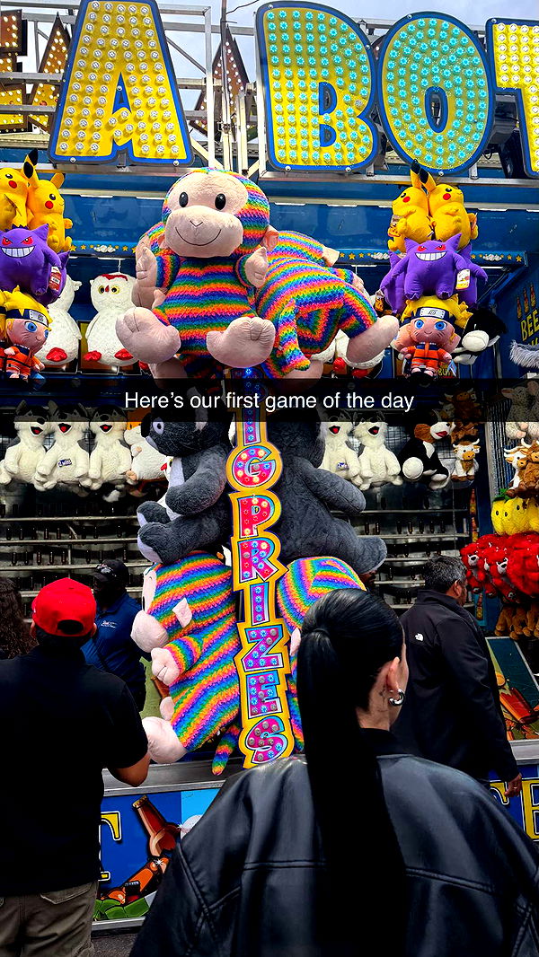 camilla_classy image ~ Altpins