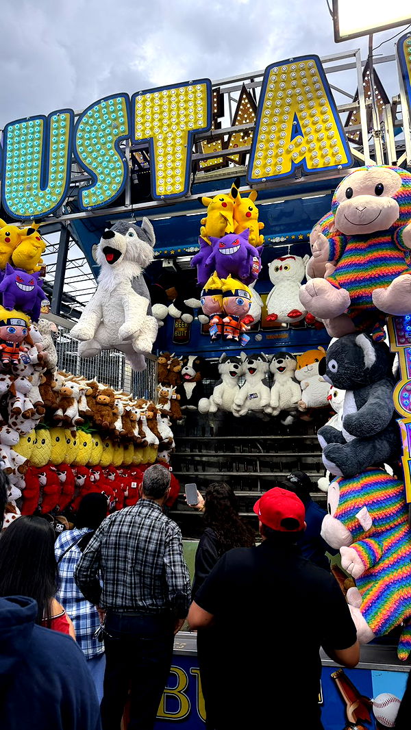 camilla_classy image ~ Altpins