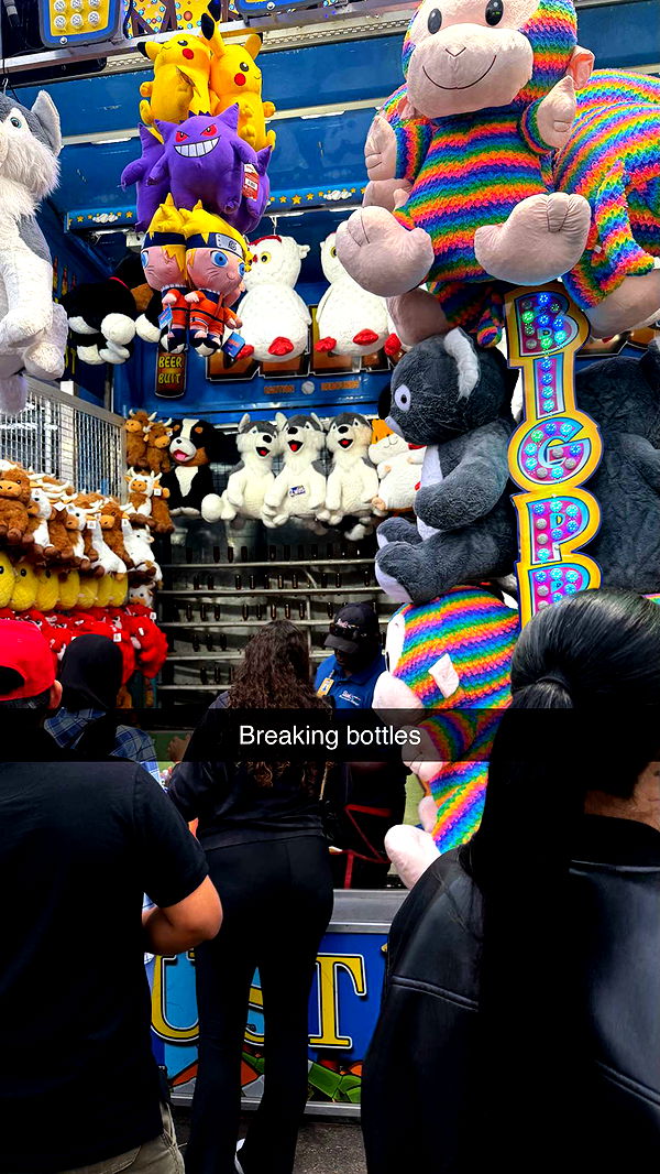 camilla_classy image ~ Altpins