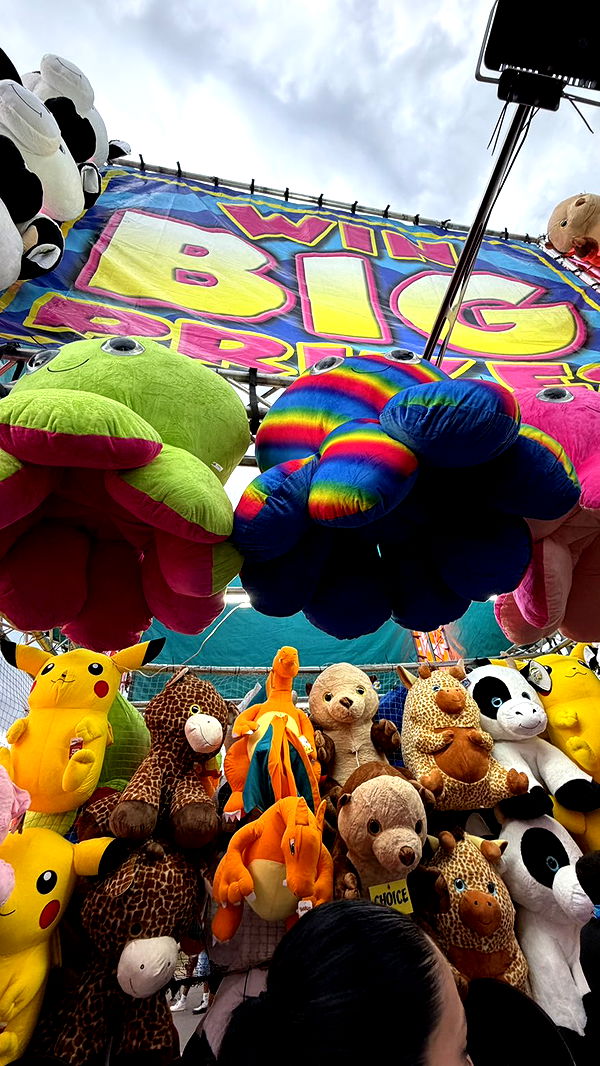 camilla_classy image ~ Altpins