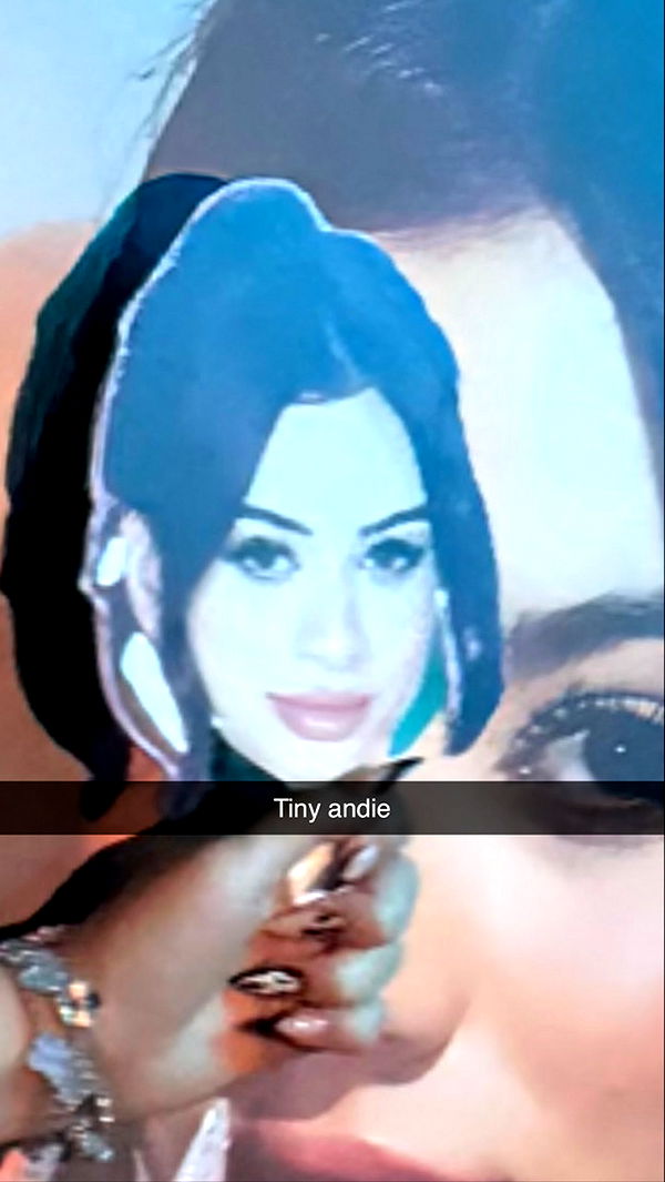 camilla_classy image ~ Altpins