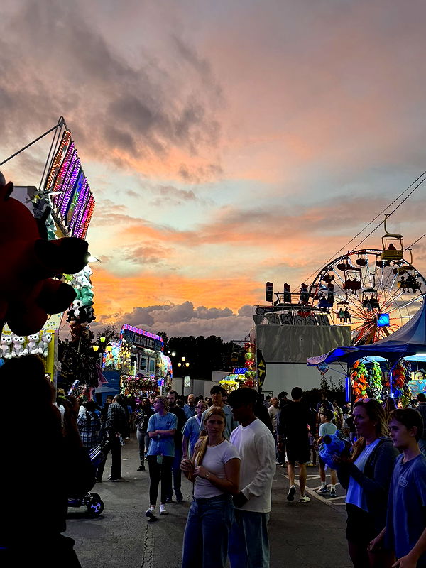 camilla_classy image ~ Altpins