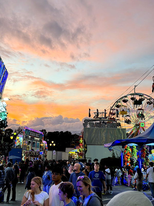 camilla_classy image ~ Altpins