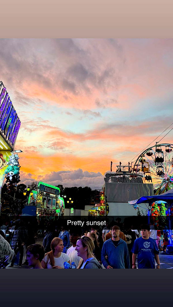 camilla_classy image ~ Altpins