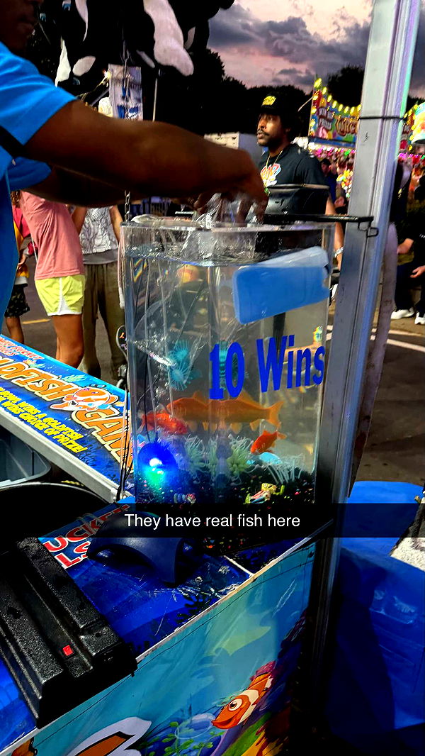 camilla_classy image ~ Altpins