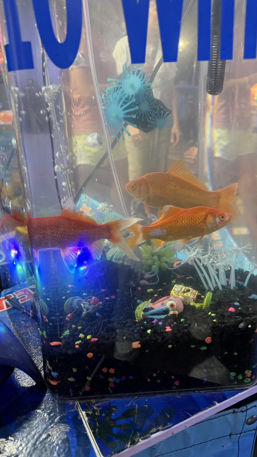 camilla_classy snapchat image archive image