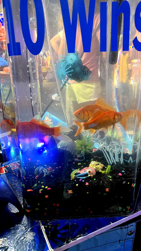 camilla_classy image ~ Altpins