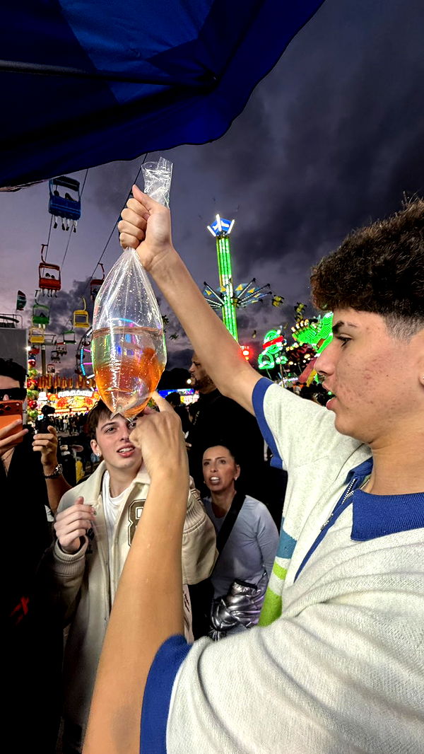 camilla_classy image ~ Altpins