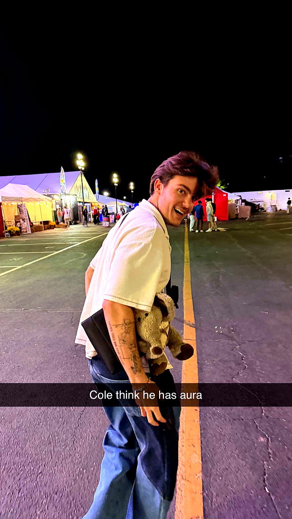 camilla_classy image ~ Altpins