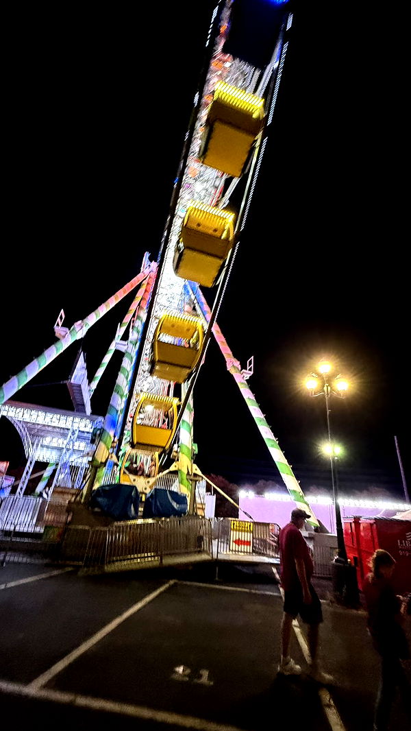 camilla_classy image ~ Altpins