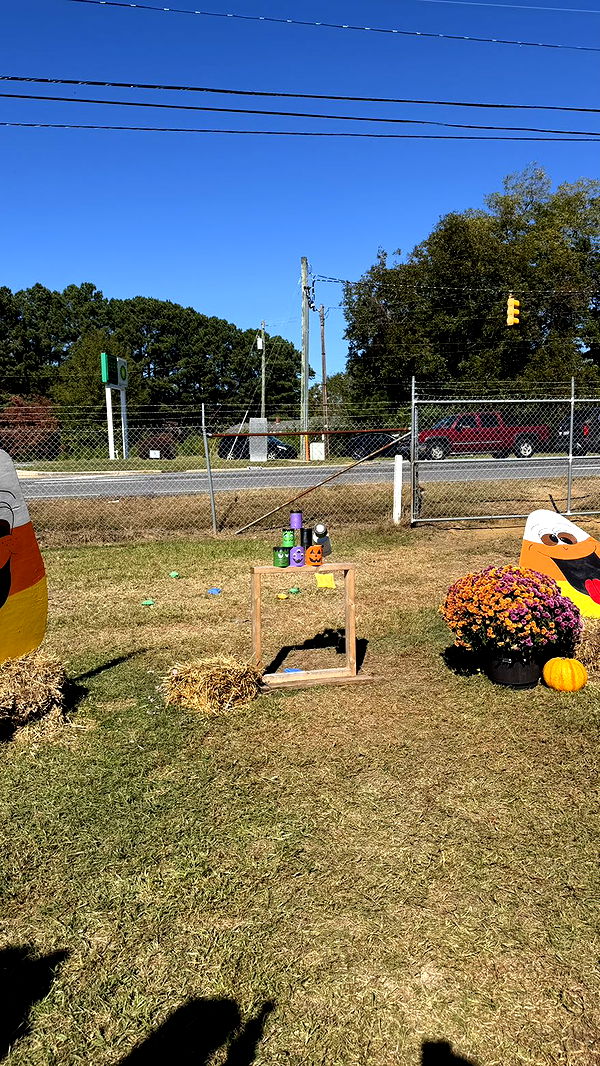 camilla_classy image ~ Altpins