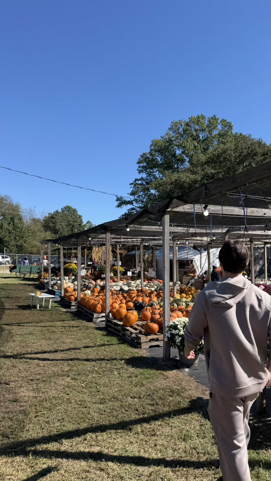 camilla_classy snapchat image archive image