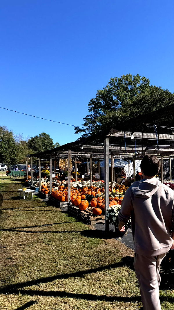 camilla_classy image ~ Altpins