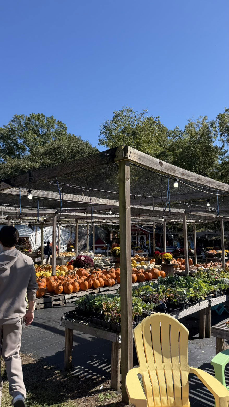 camilla_classy snapchat image archive image