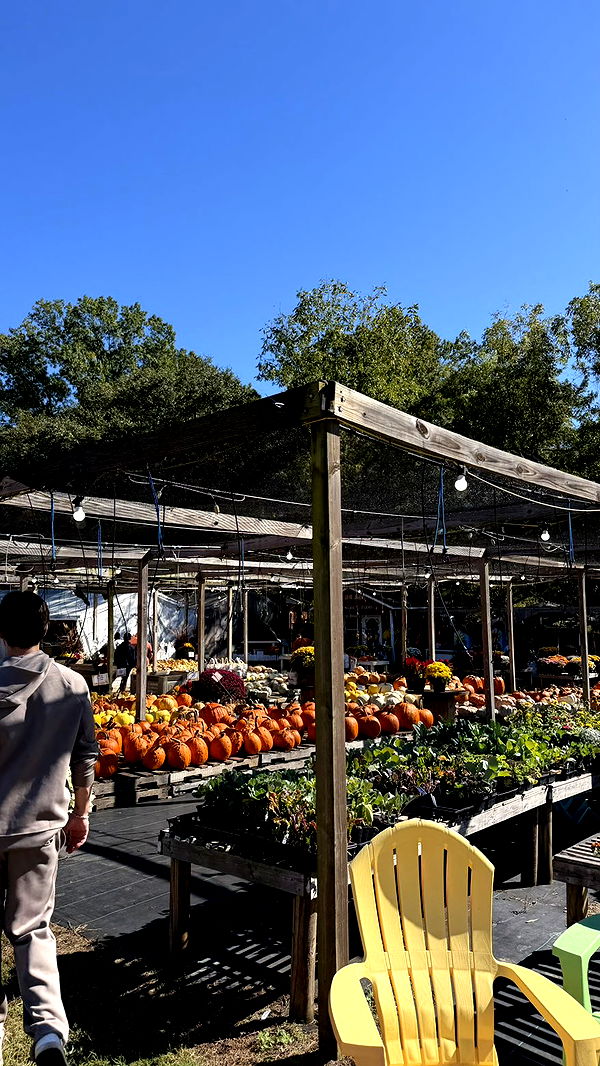 camilla_classy image ~ Altpins