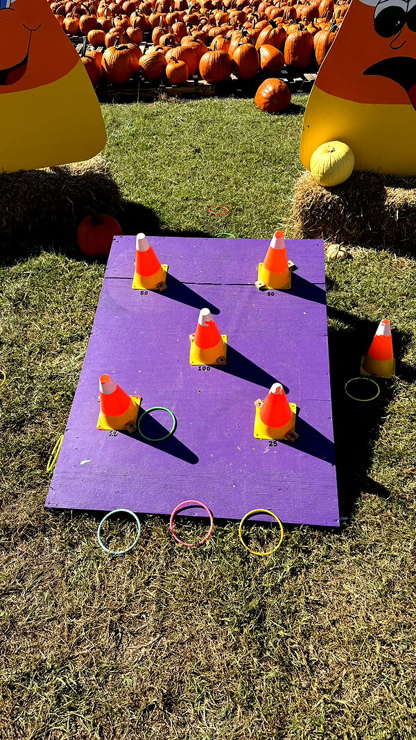 camilla_classy image ~ Altpins