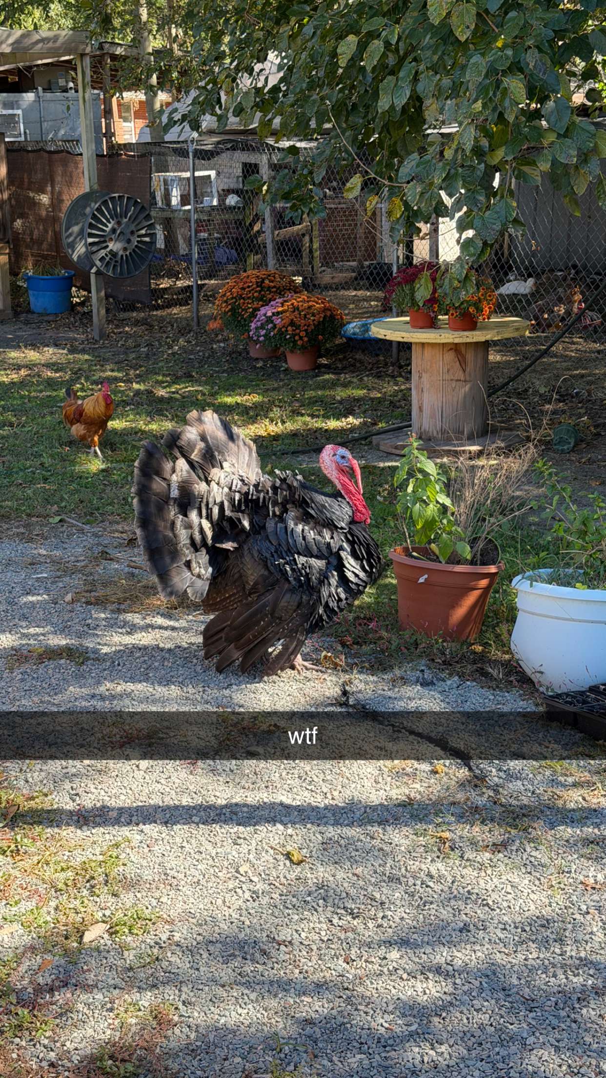 camilla_classy snapchat image archive image