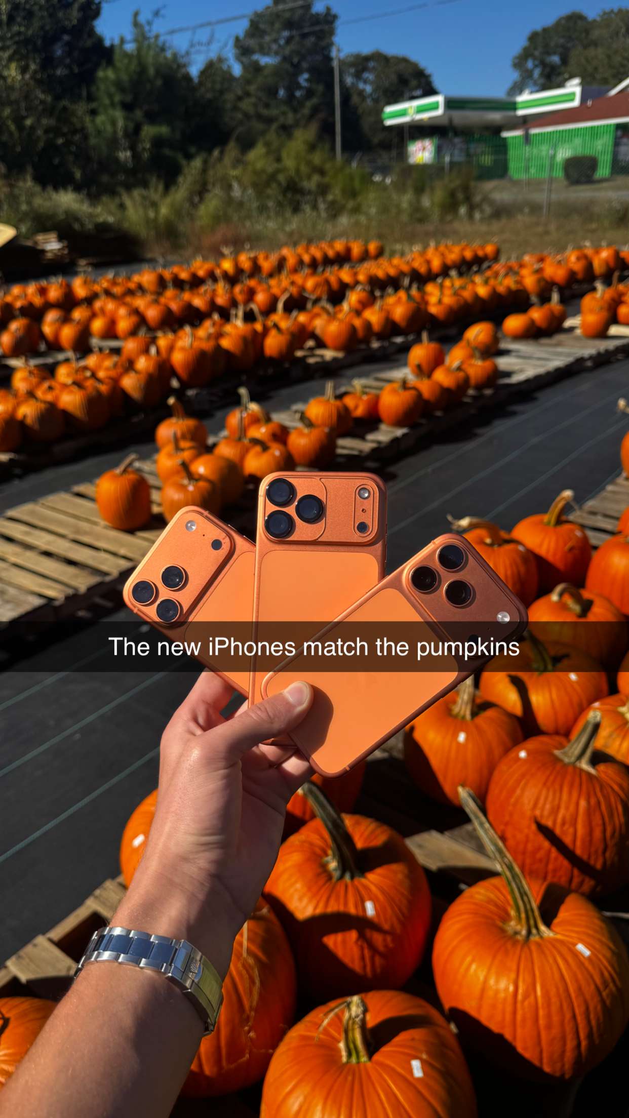 camilla_classy snapchat image archive image