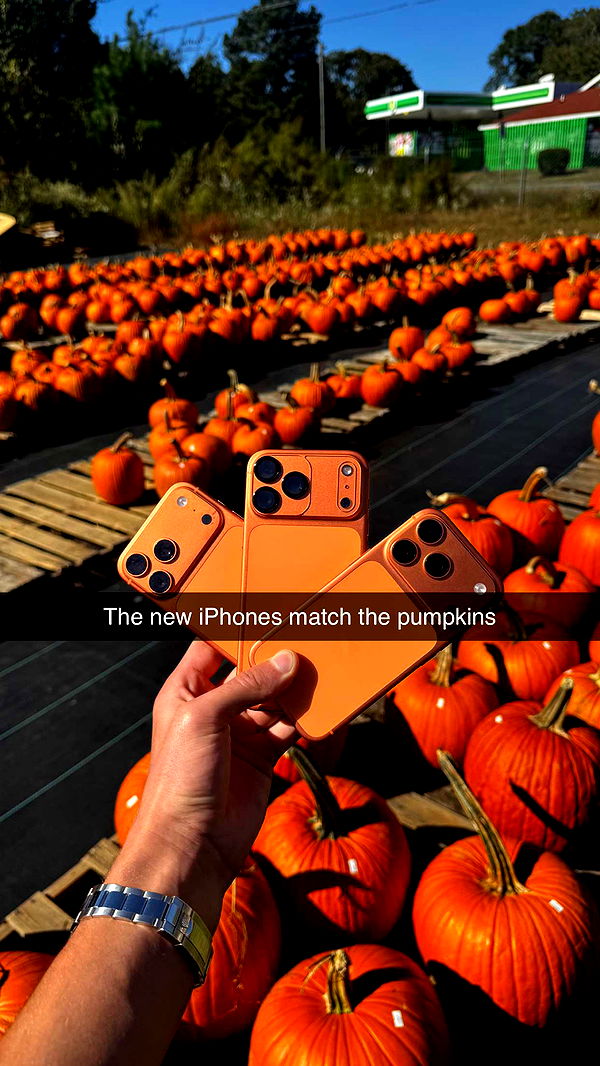 camilla_classy image ~ Altpins