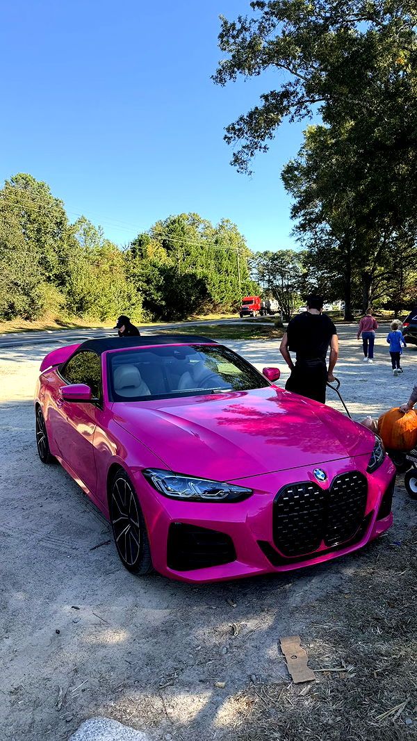 camilla_classy image ~ Altpins