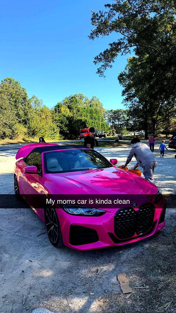 camilla_classy image ~ Altpins