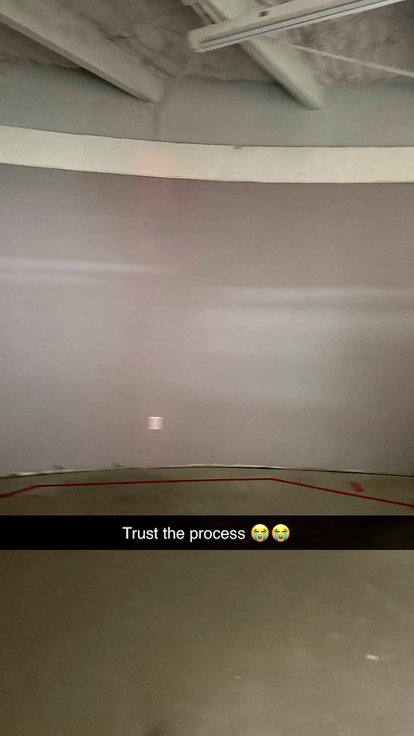 camilla_classy image ~ Altpins