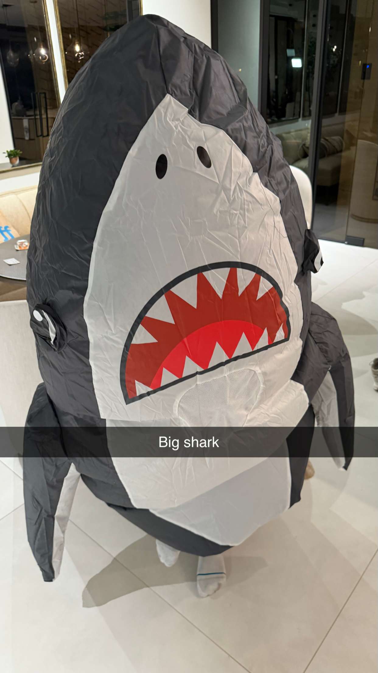 camilla_classy snapchat image archive image