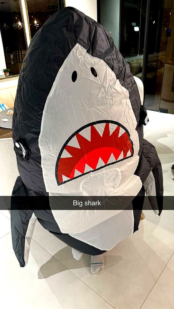 camilla_classy image ~ Altpins