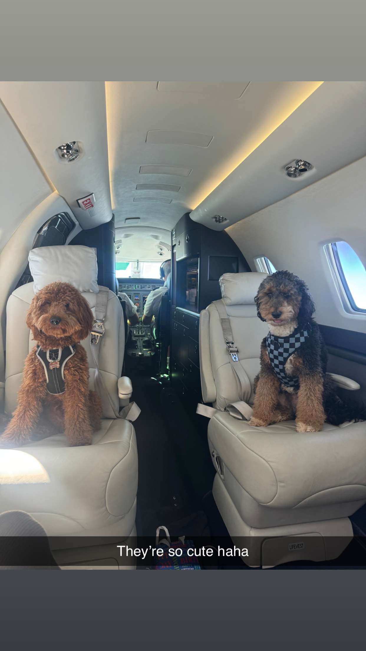 camilla_classy snapchat image archive image