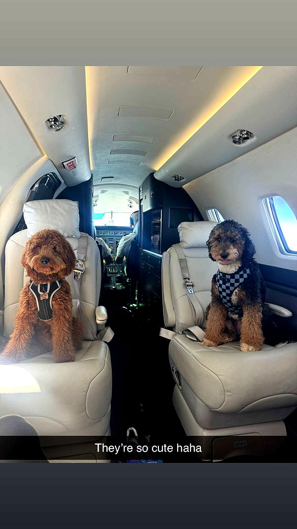 camilla_classy image ~ Altpins