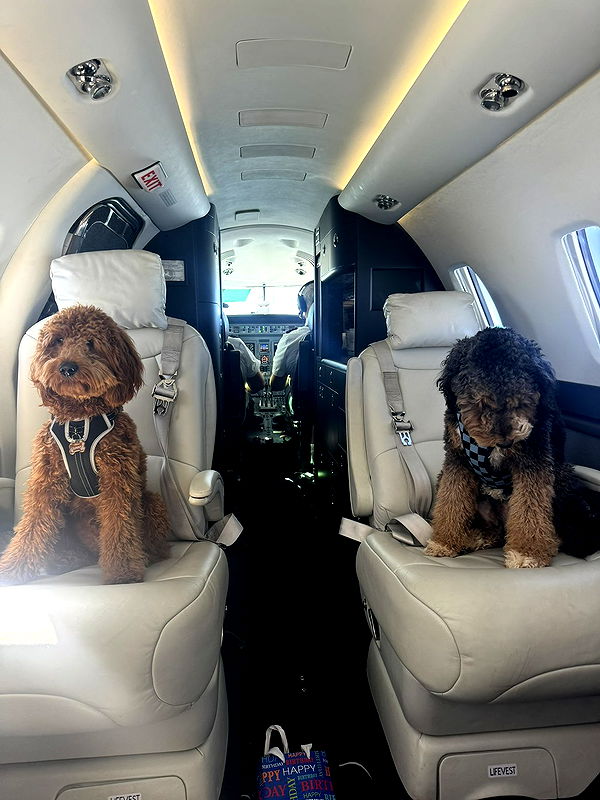 camilla_classy image ~ Altpins