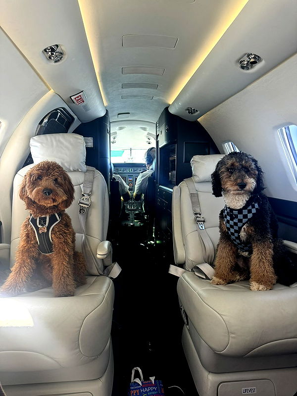 camilla_classy image ~ Altpins