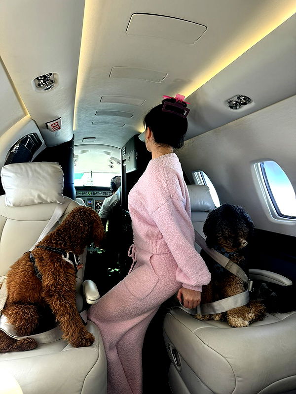 camilla_classy image ~ Altpins