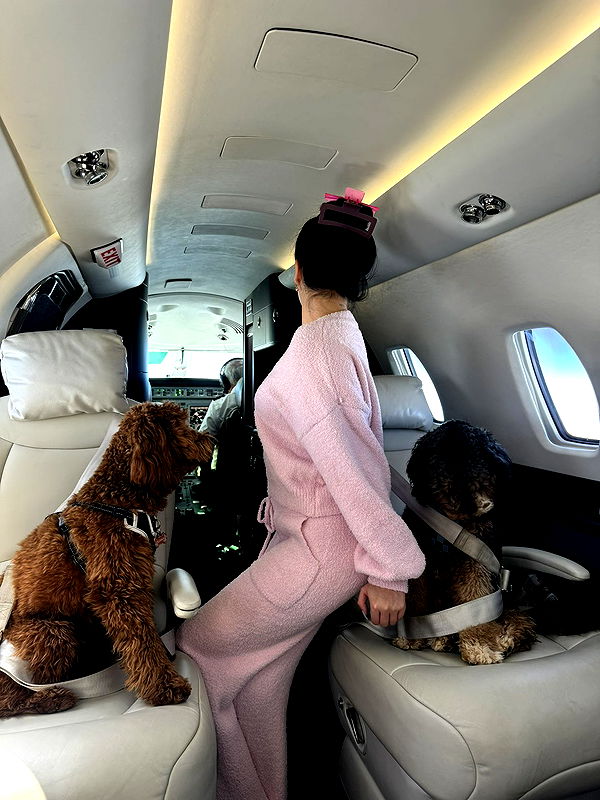 camilla_classy image ~ Altpins