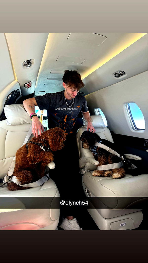 camilla_classy image ~ Altpins