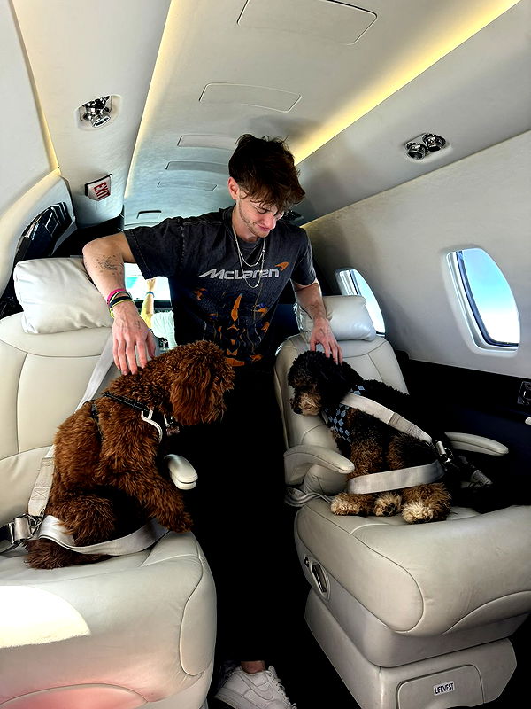 camilla_classy image ~ Altpins