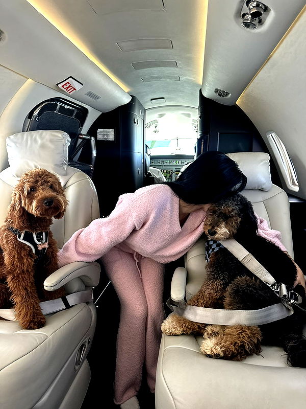 camilla_classy image ~ Altpins